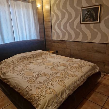 Guest House Maja โนวีซาด ภายนอก รูปภาพ