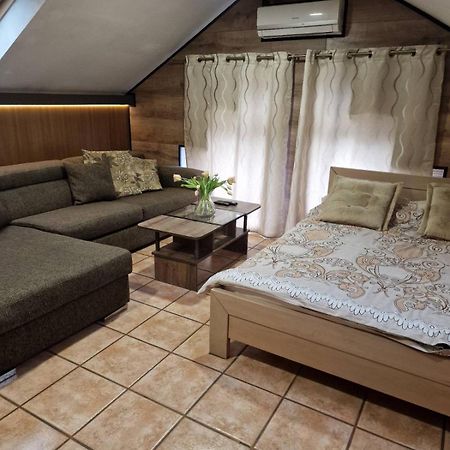 Guest House Maja โนวีซาด ภายนอก รูปภาพ