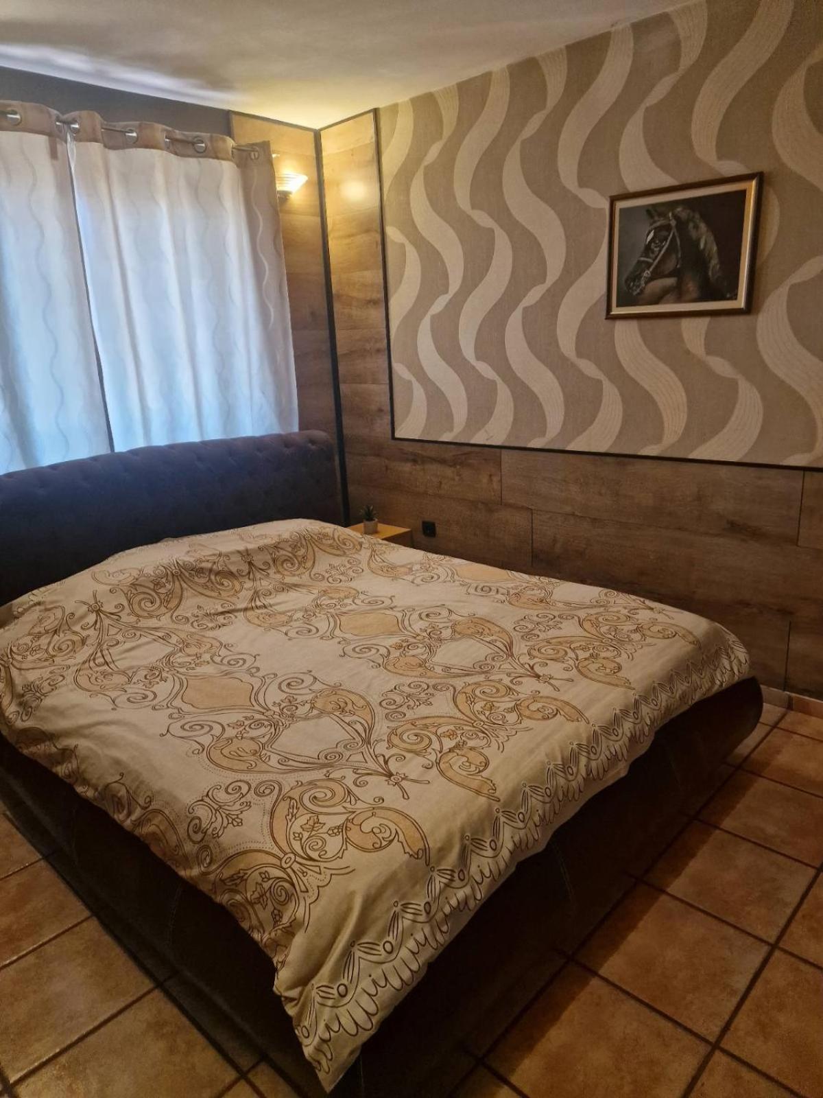Guest House Maja โนวีซาด ภายนอก รูปภาพ