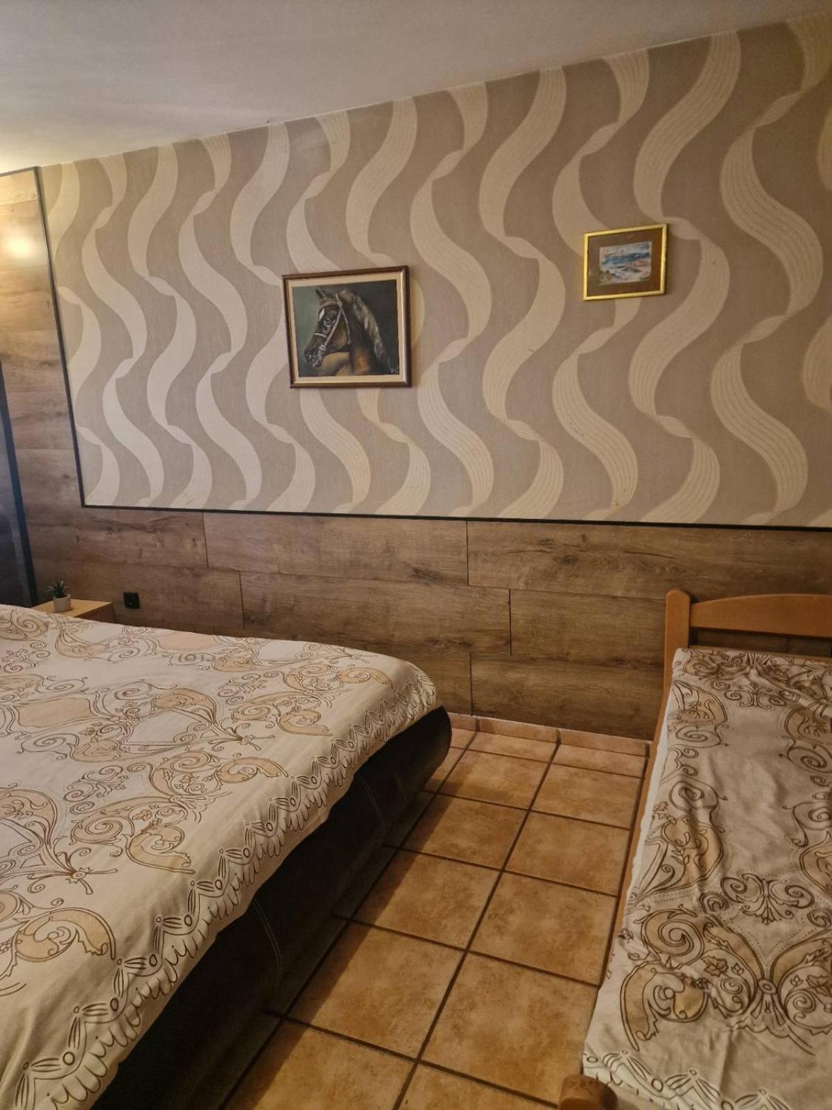 Guest House Maja โนวีซาด ภายนอก รูปภาพ