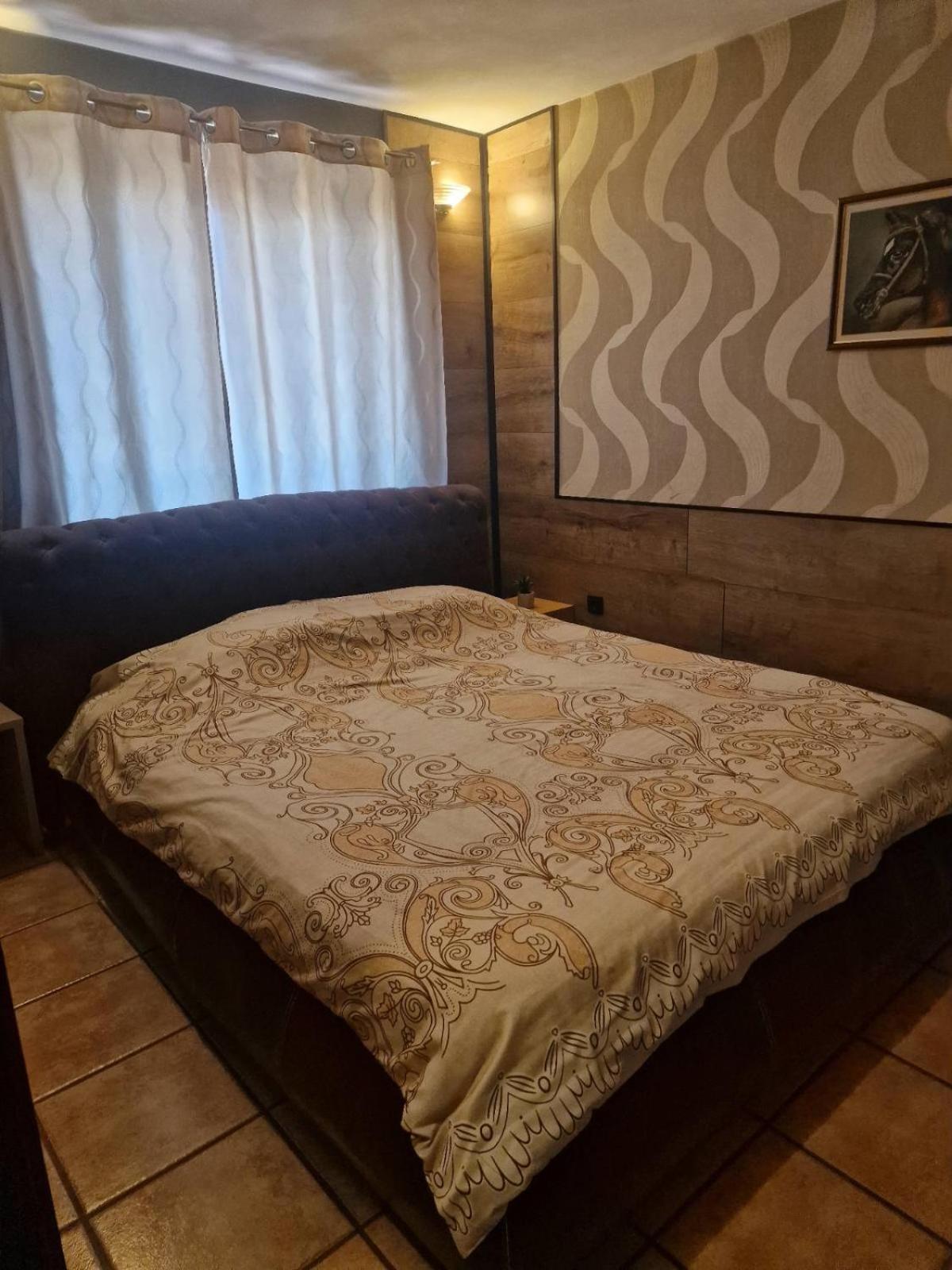 Guest House Maja โนวีซาด ภายนอก รูปภาพ